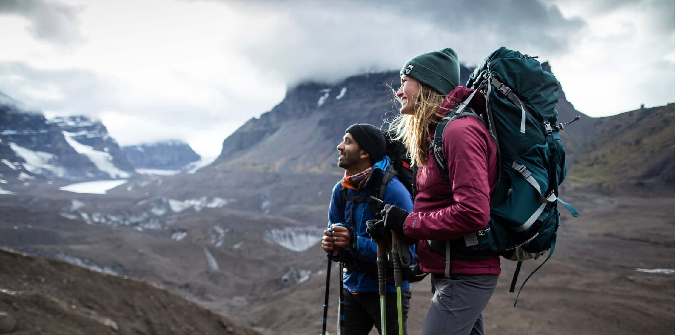Starmann Polstermöbelbürste - Tampico Borsten Buchenholz