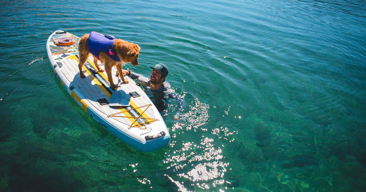 Hunde Schwimmweste