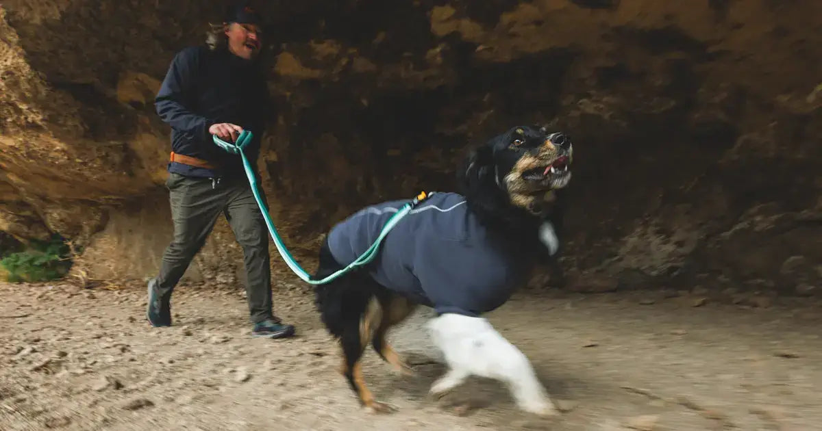 Mann wandert mit seinem Hund – unterwegs mit Hundeausrüstung & Equipment von Ruffwear