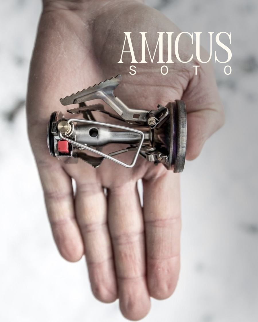 Soto Amicus