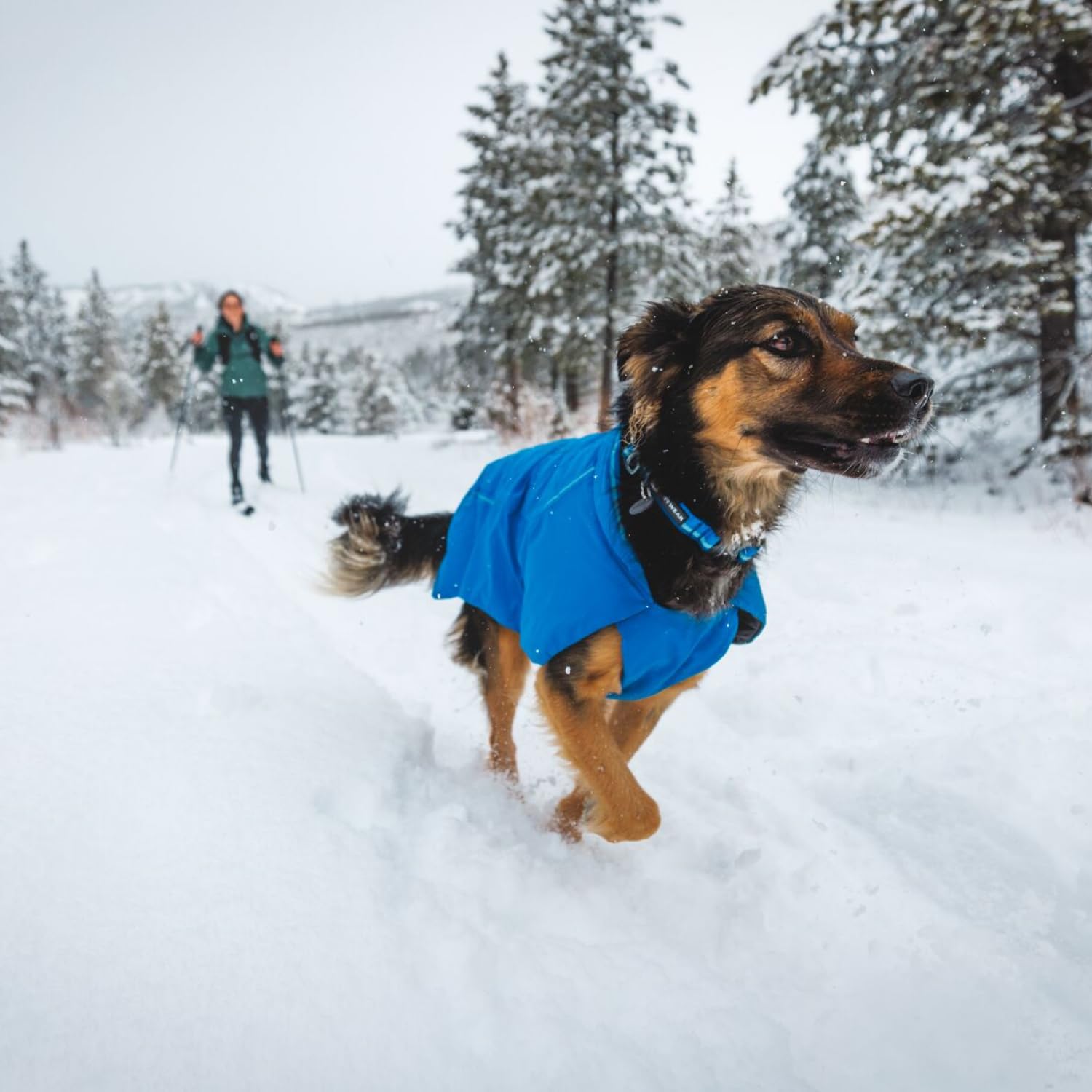 Hundehalsband – Ruffwear – Top Rope 2.0