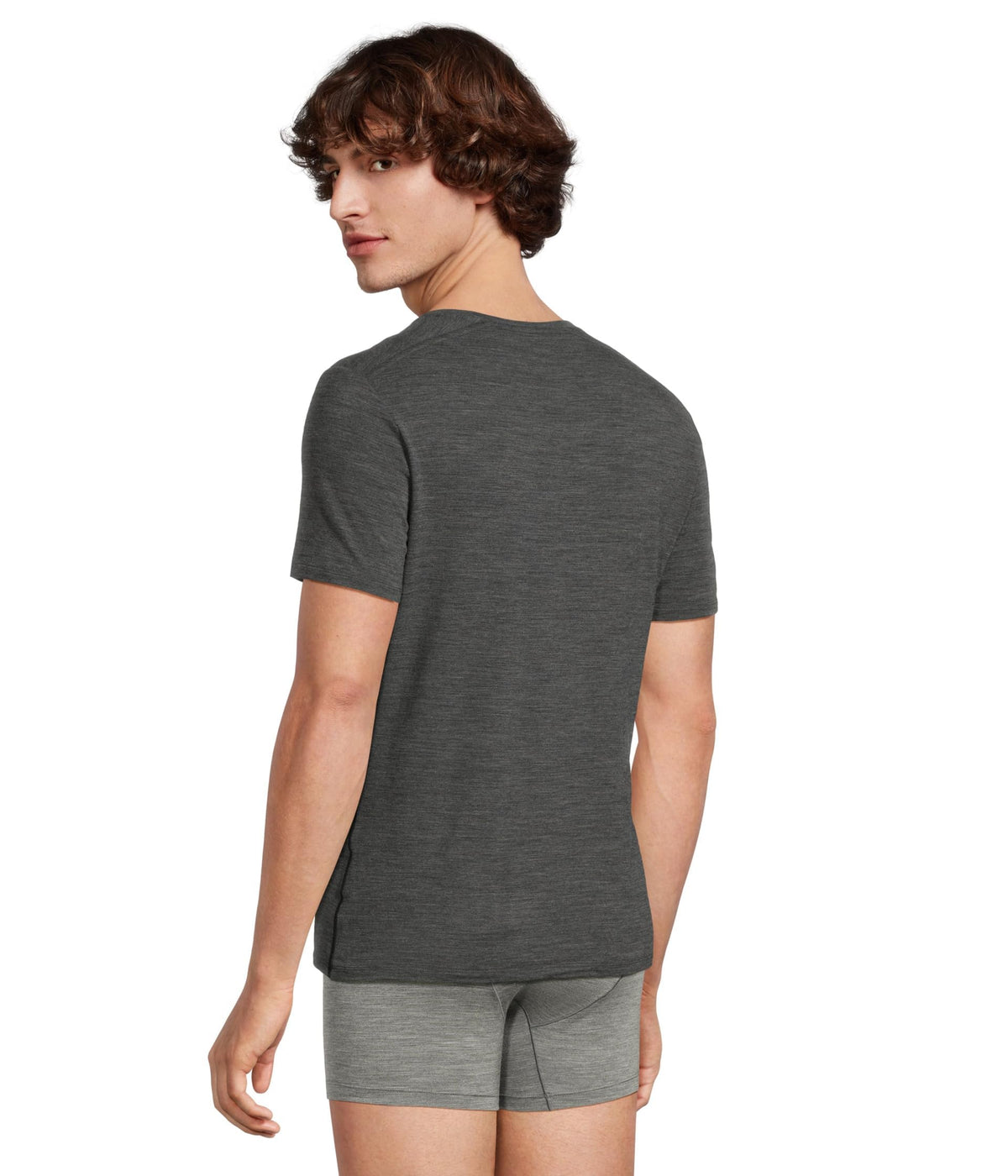 Merino T-Shirt – Icebreaker – Anatomica Short Sleeve Crewe