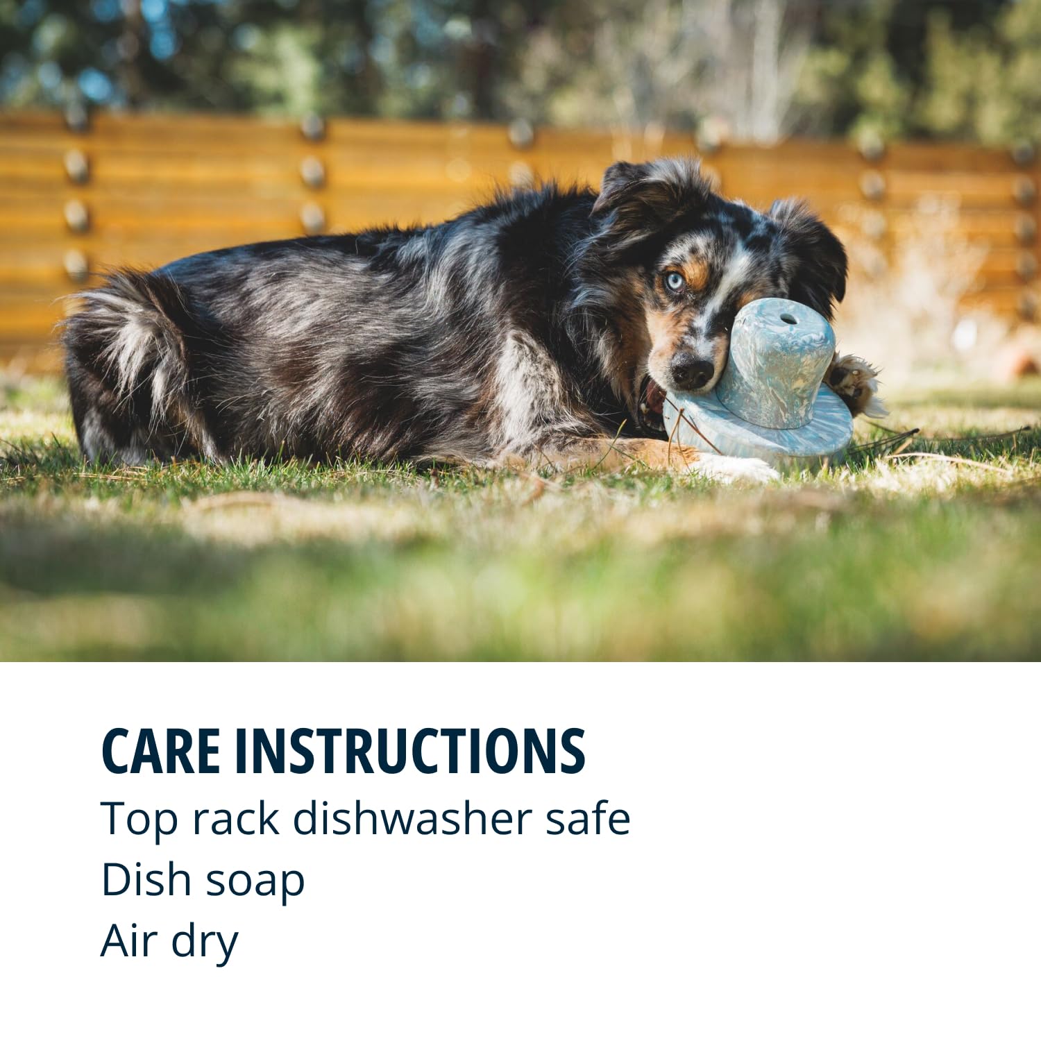 97cd3ee3-f892-4ec3-a8a5-de11ff5b0581