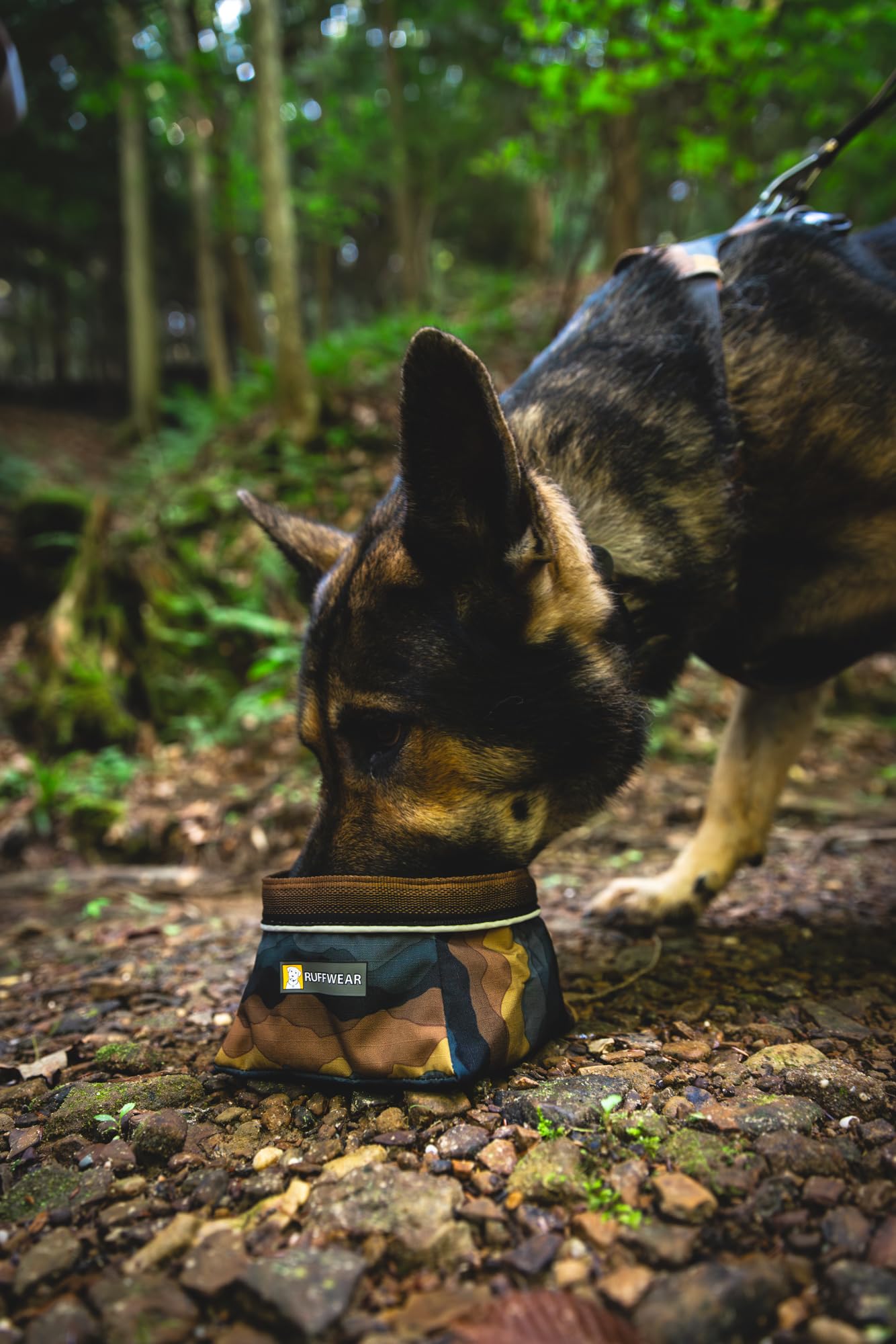 Hundenapf – Ruffwear – Quencher Travel – RUFFWEAR – Bild 2