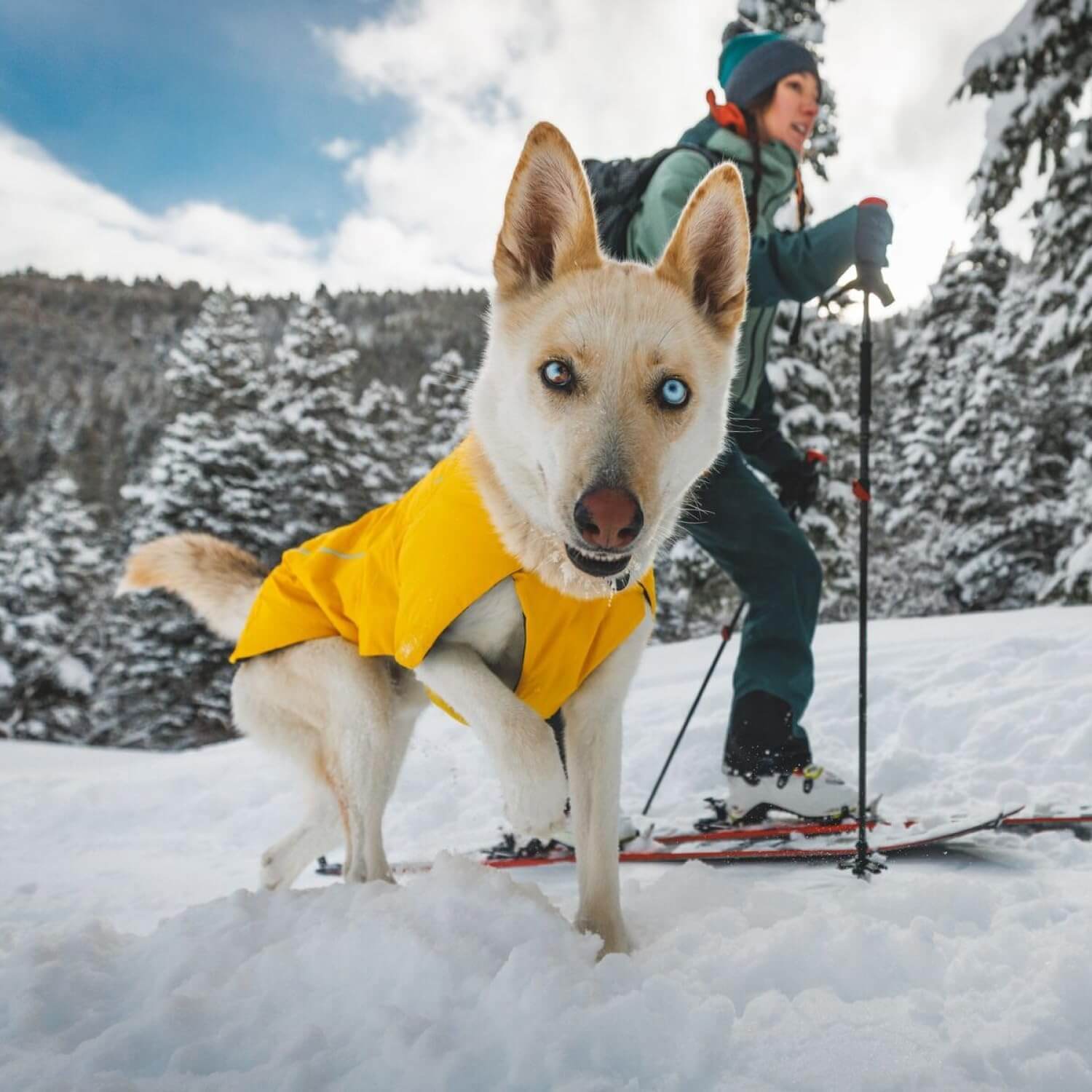 RUFFWEAR Vert