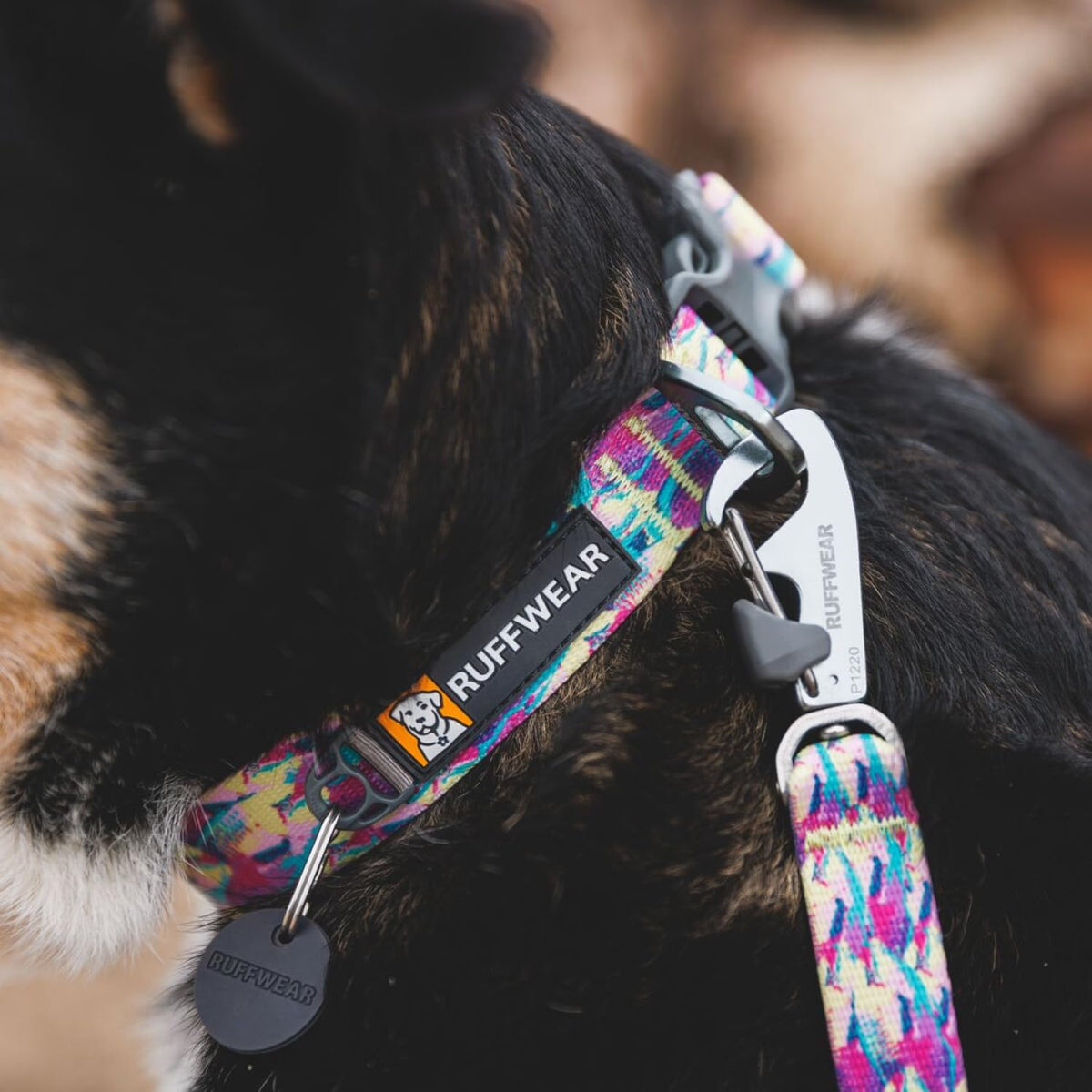 Hundehalsband – Ruffwear – Front Range