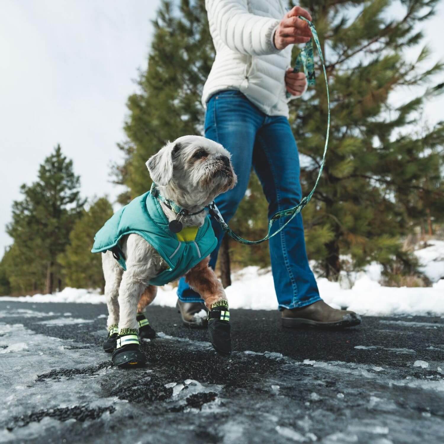 Ruffwear Front Range Hundehalsband für kleine Hunde, mit V-Ring aus Aluminium, bequem und stark, mit seitlicher Schnalle und Gurtband, für Spaziergänge mit dem Hund