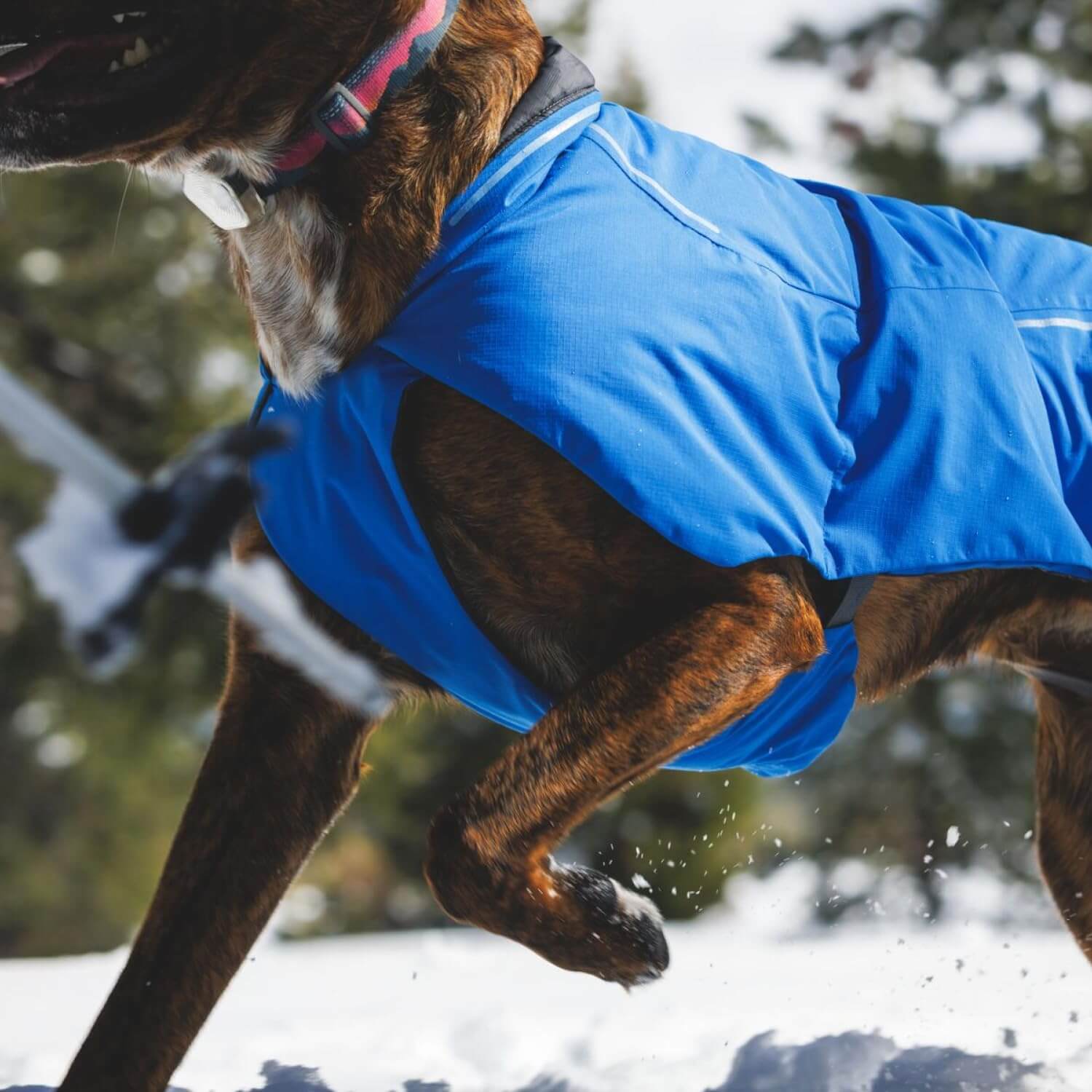 RUFFWEAR Vert
