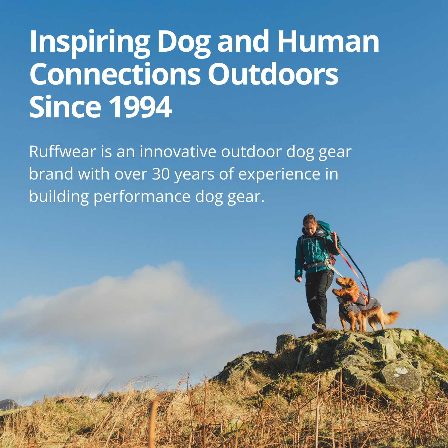 Hundefleecejacke – Ruffwear – Climate Changer – RUFFWEAR – Bild 9