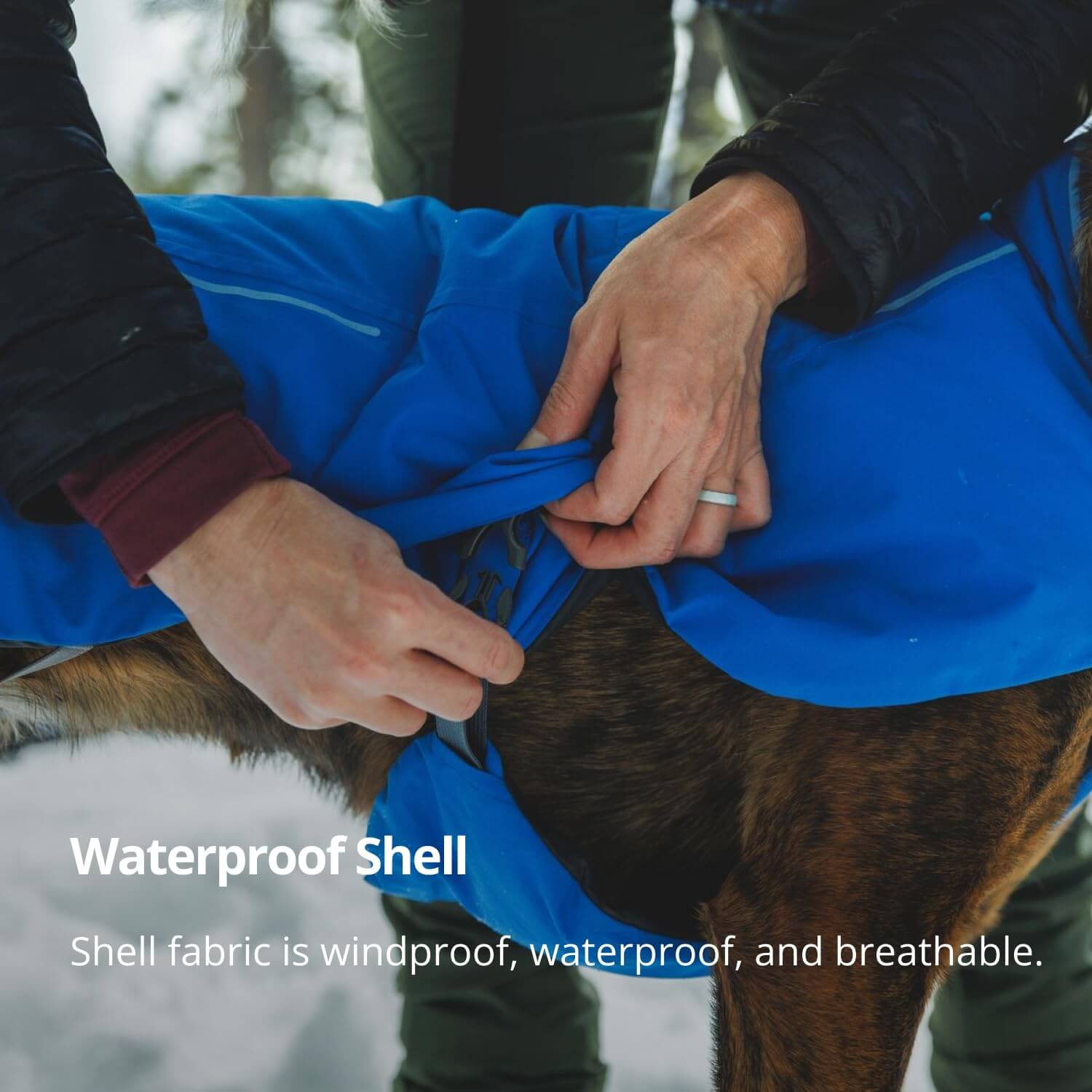RUFFWEAR Vert