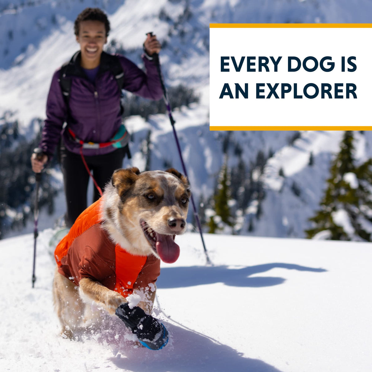 Hundejacke – RUFFWEAR – Powder Hound