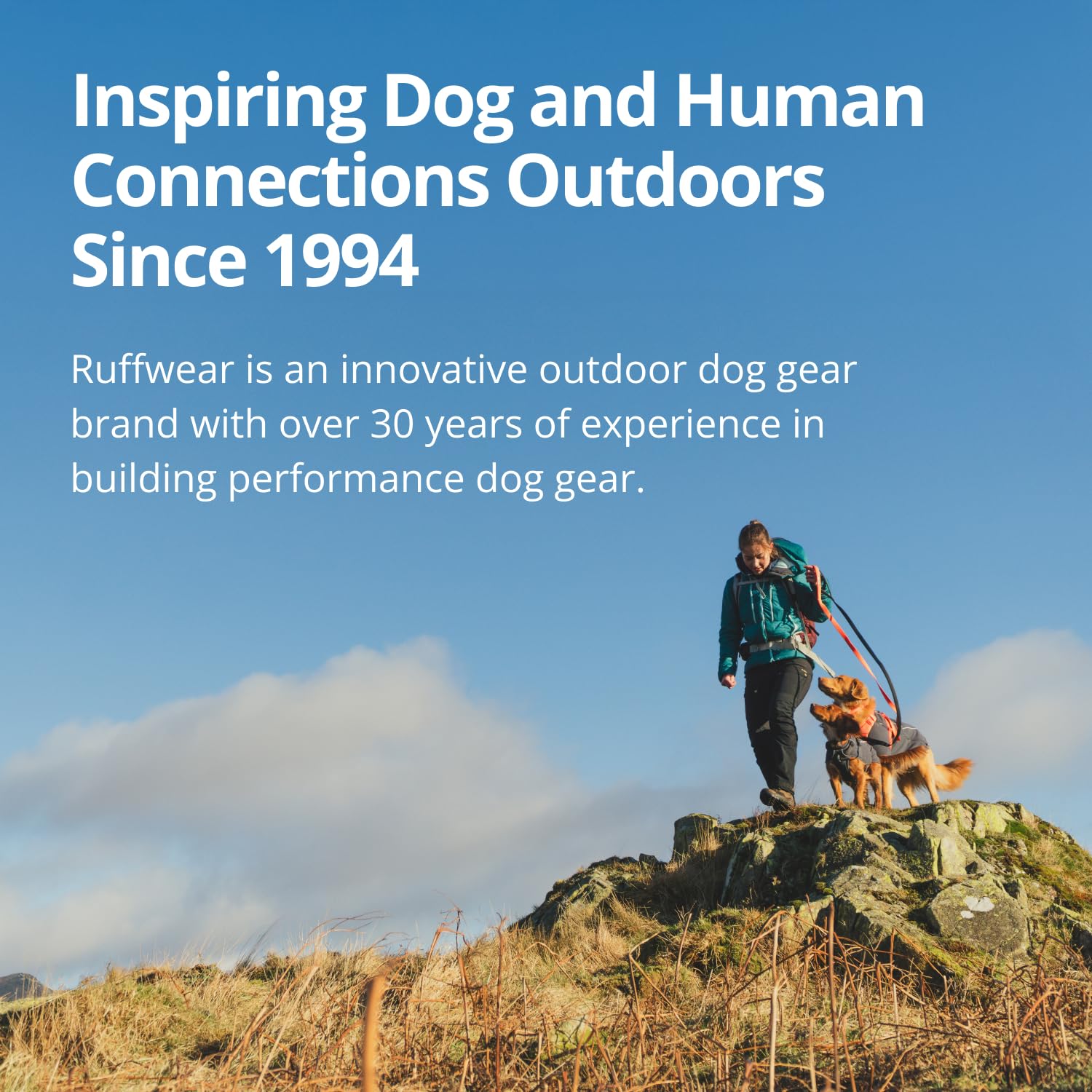 Hundejacke – RUFFWEAR – Powder Hound – RUFFWEAR – Bild 7