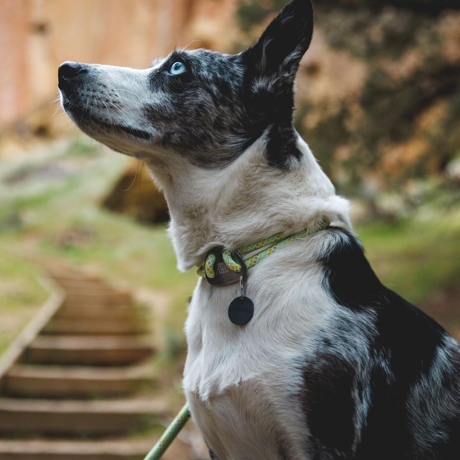 Hundehalsband – Ruffwear – Knot-a-Collar