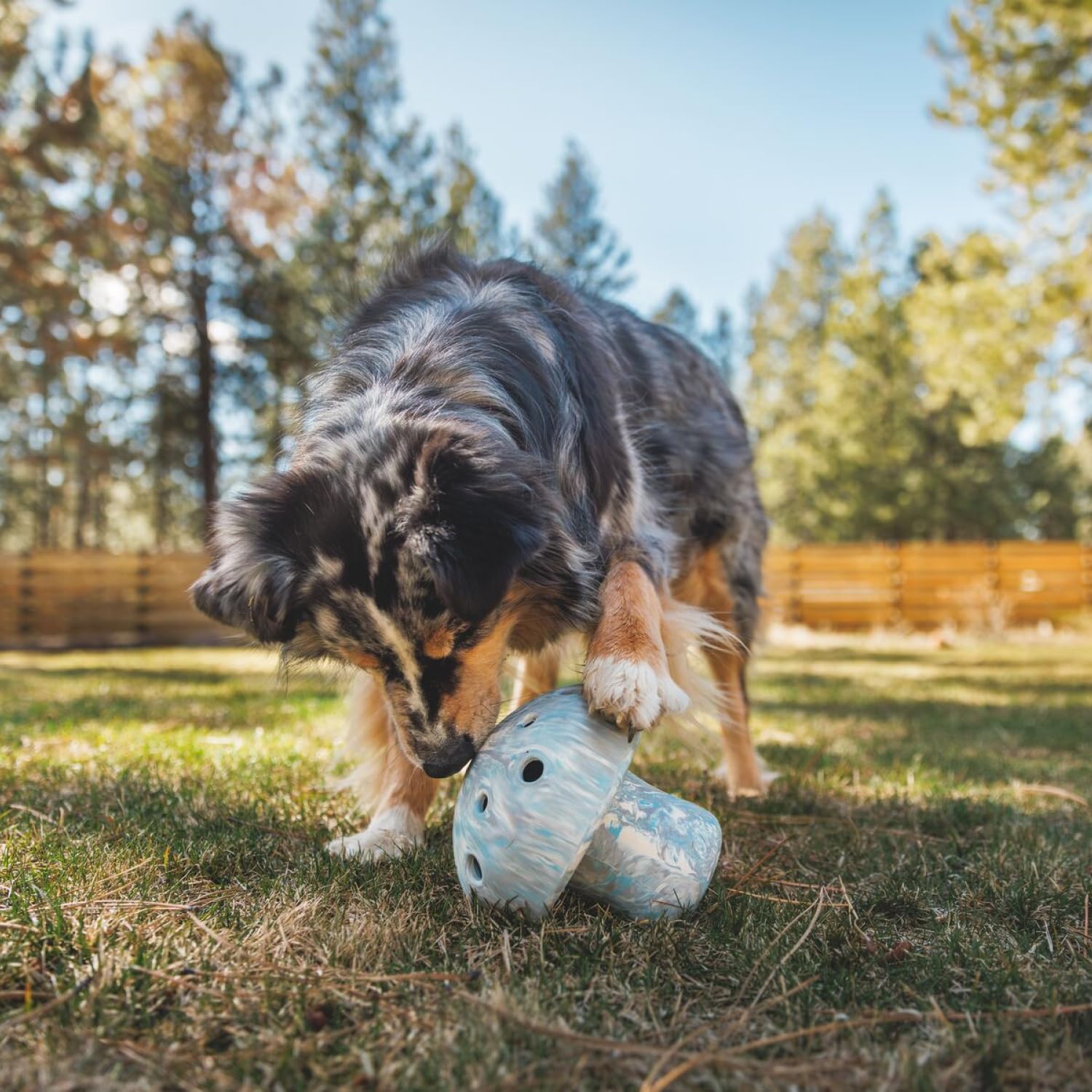 9f4396e8-74b5-48d2-b24f-5f2fd338f307