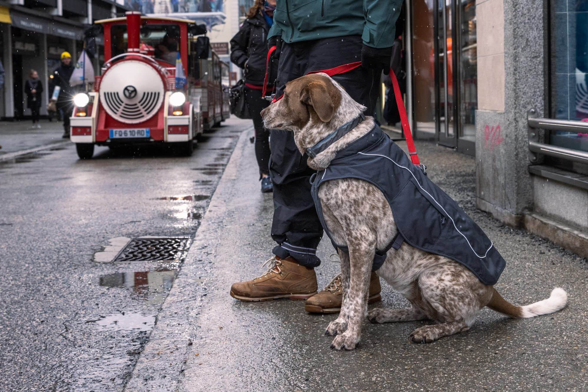 Hundejacke – Ruffwear – Overcoat Fuse