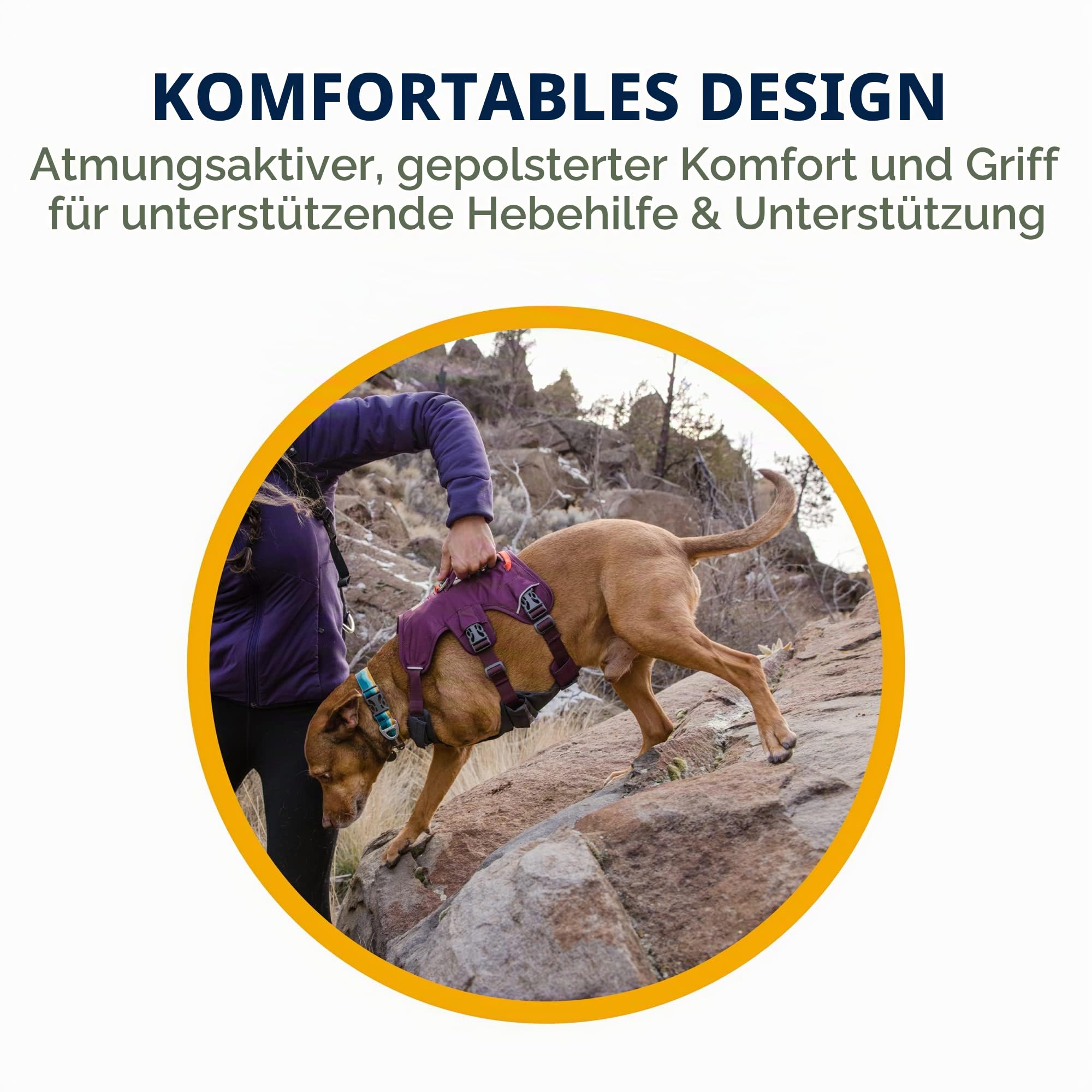 Hundegeschirr – RUFFWEAR – Web Master – RUFFWEAR – Bild 5