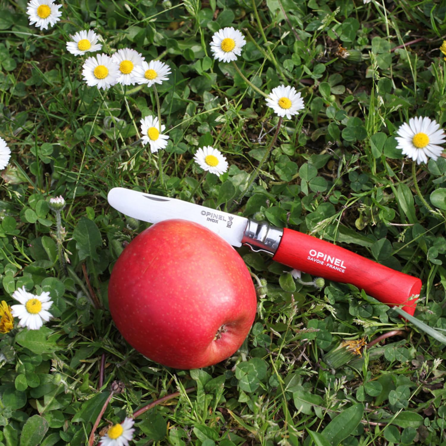 Messerzähler – Opinel – O001698 – OPINEL – Bild 5