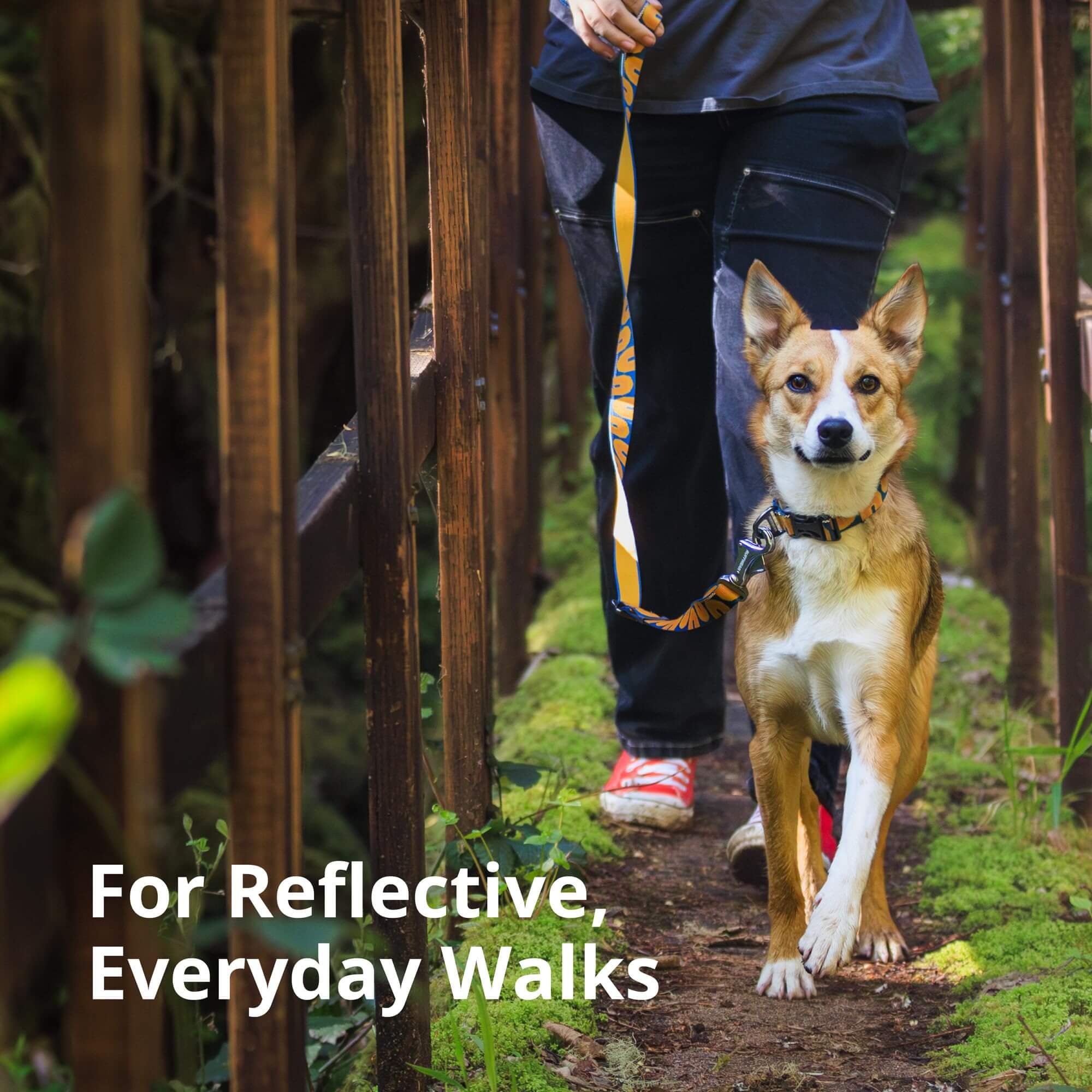 Hundehalsband – Ruffwear – Crag