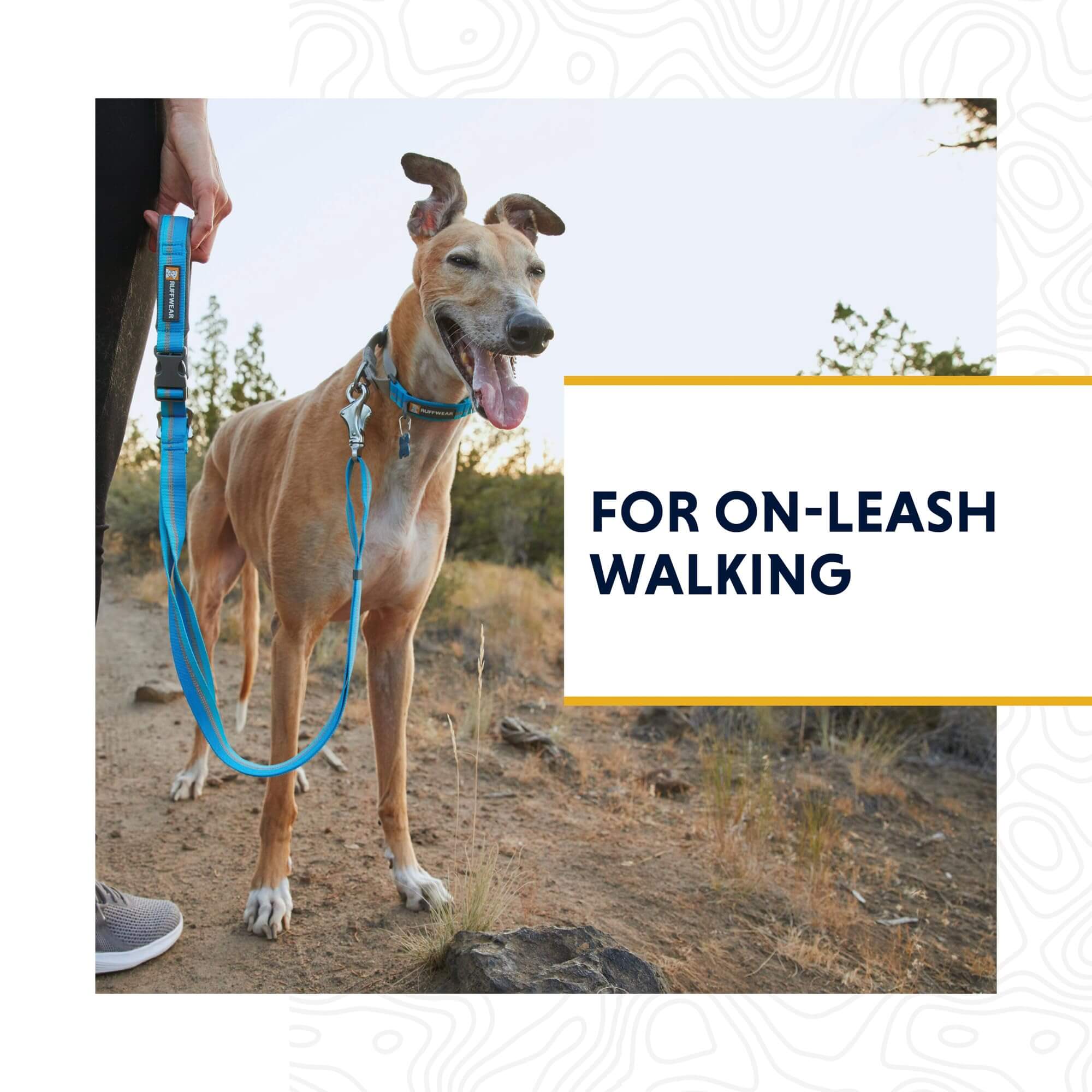 Das Ruffwear Web Reaction Hunde Halsband, ideal für Hunde die an der Leine ziehen, erhältlich im Outdoor Online Shop FluxPerfect