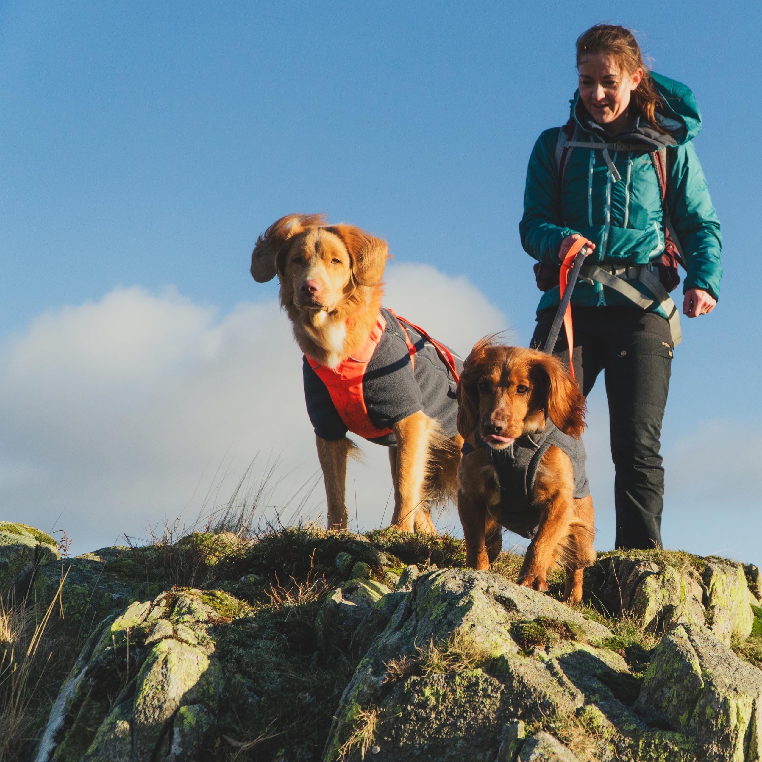 Hunde-Fleeceweste – Ruffwear – Climate Changer – RUFFWEAR – Bild 8